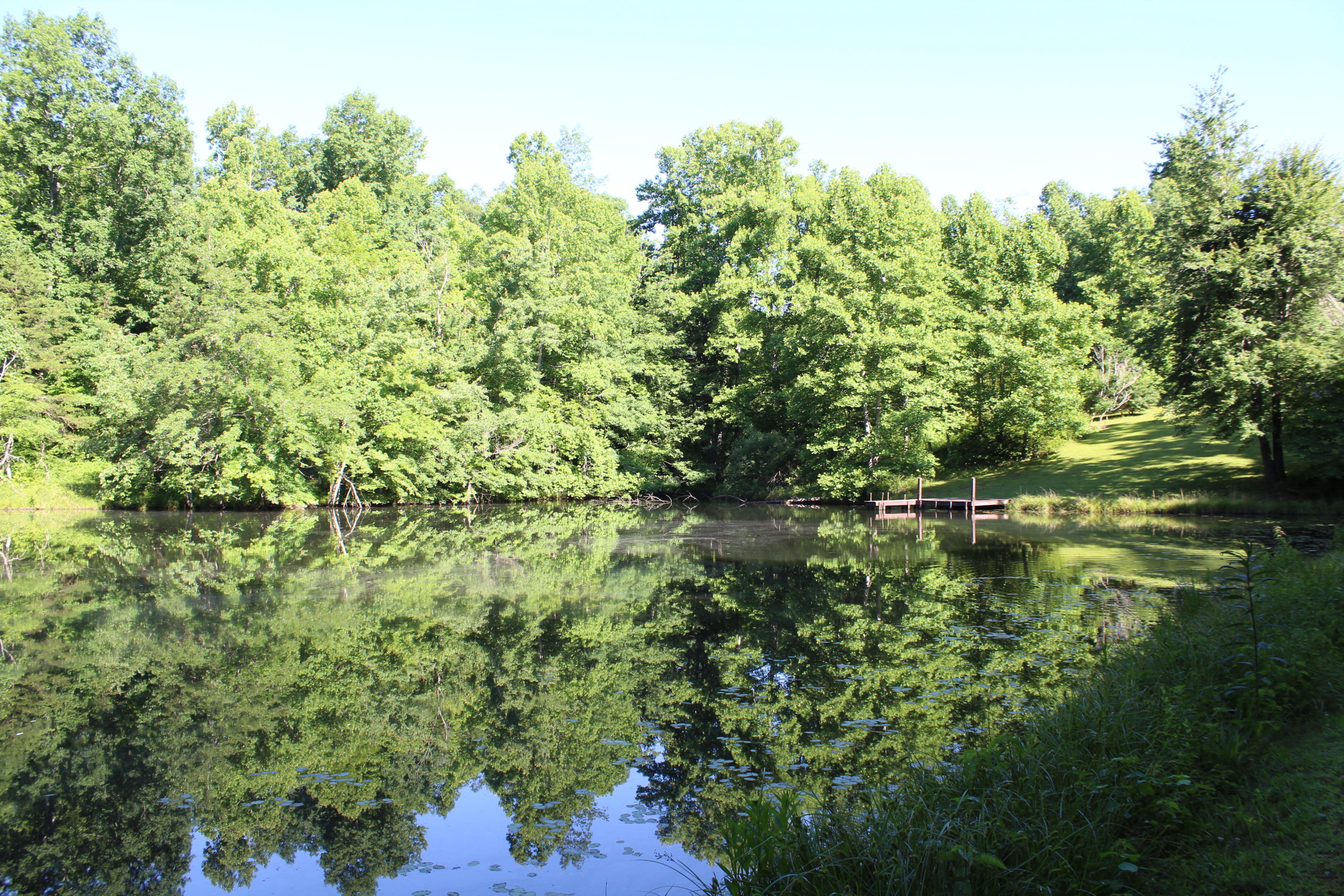 1728 Bell Road Crossville, TN 38571 - Photo 33 of 36 IMG_9876