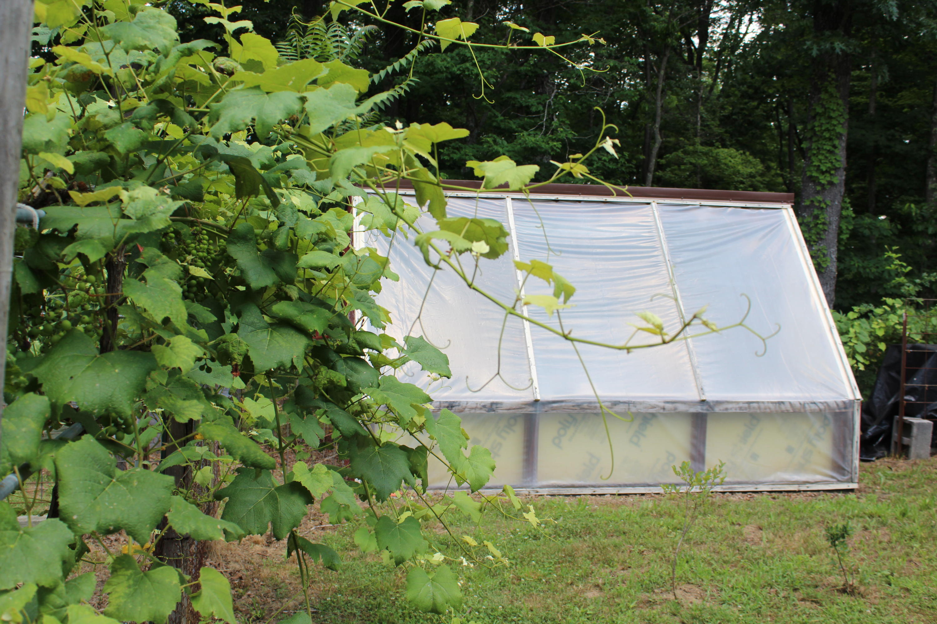 1728 Bell Road Crossville, TN 38571 - Photo 34 of 36 IMG_0149
