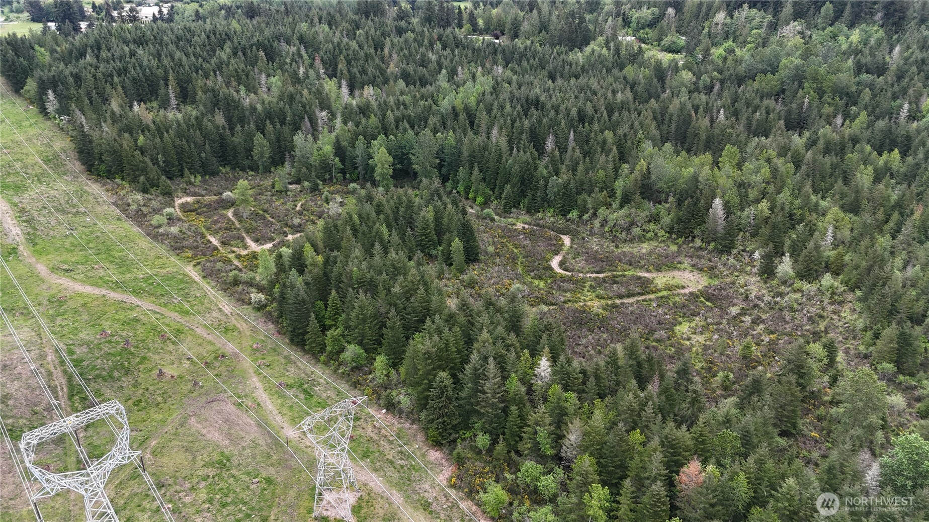 0 A P Tubbs Road Wilkeson, WA 98396 - Photo 4 of 4