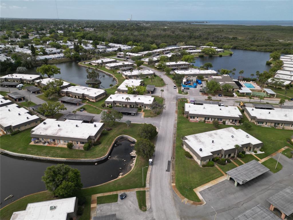 4463 Rustic Drive, Unit D New Port Richey, FL 34652 - Photo 20 of 20