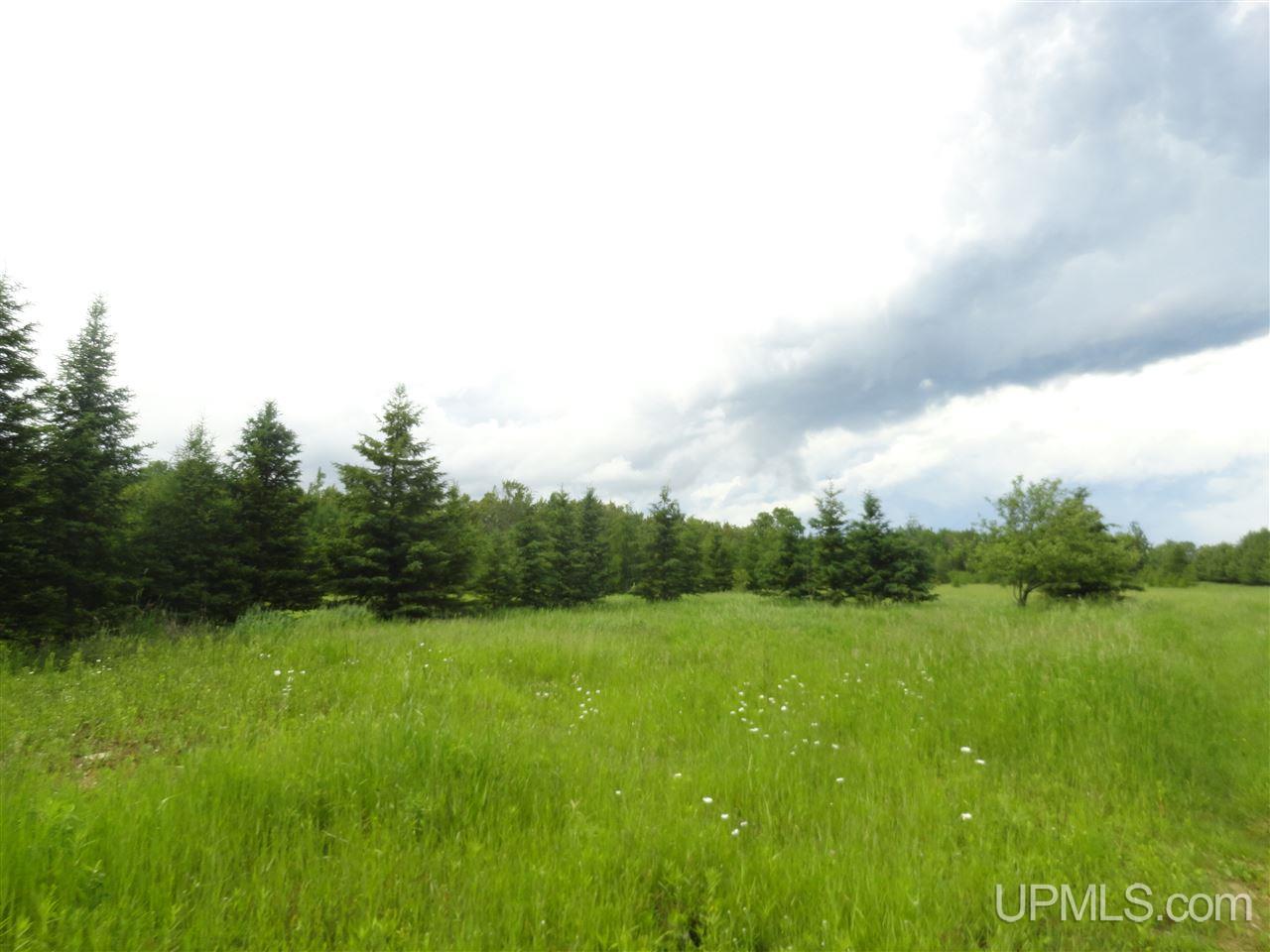 416 (23rd Road Gladstone, MI 49837 - Photo 4 of 36