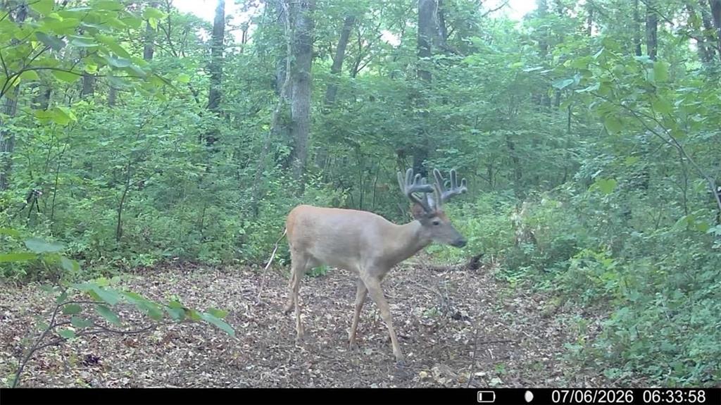 2163 East 500 Road Lecompton, KS 66050 - Photo 77 of 98