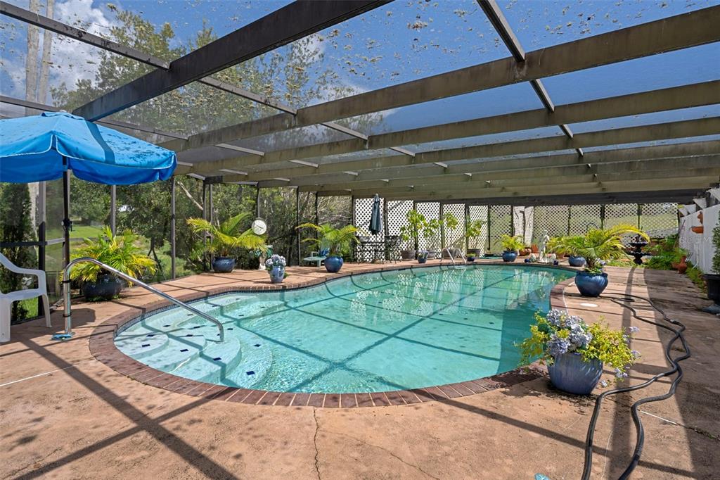 25927 Old Spring Lake Road Brooksville, FL 34601 - Photo 43 of 60 a view of a chairs and tables in patio