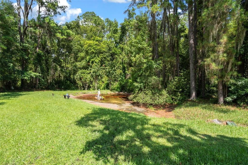 25927 Old Spring Lake Road Brooksville, FL 34601 - Photo 52 of 60 a view of swimming pool from a yard