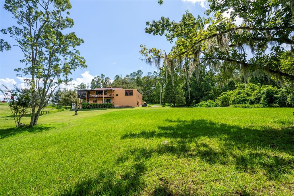 25927 Old Spring Lake Road Brooksville, FL 34601 - Photo 53 of 60 a view of yard with grass and trees