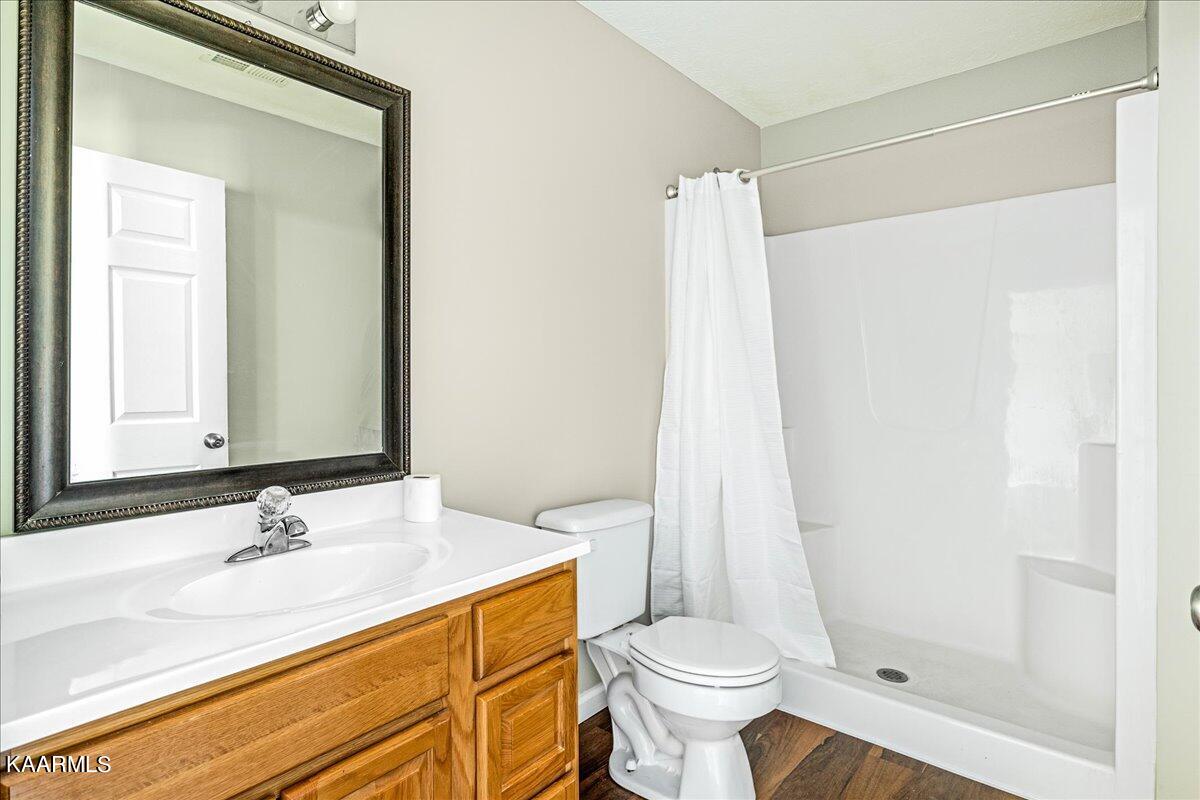 2148 Cook Mill Road Dandridge, TN 37725 - Photo 16 of 24 Bathroom