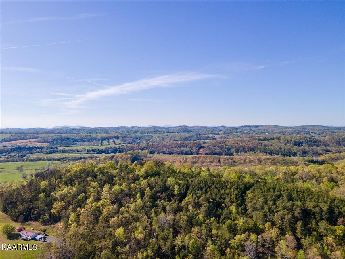 2148 Cook Mill Road Dandridge, TN 37725 - Photo 22 of 24 Aerial