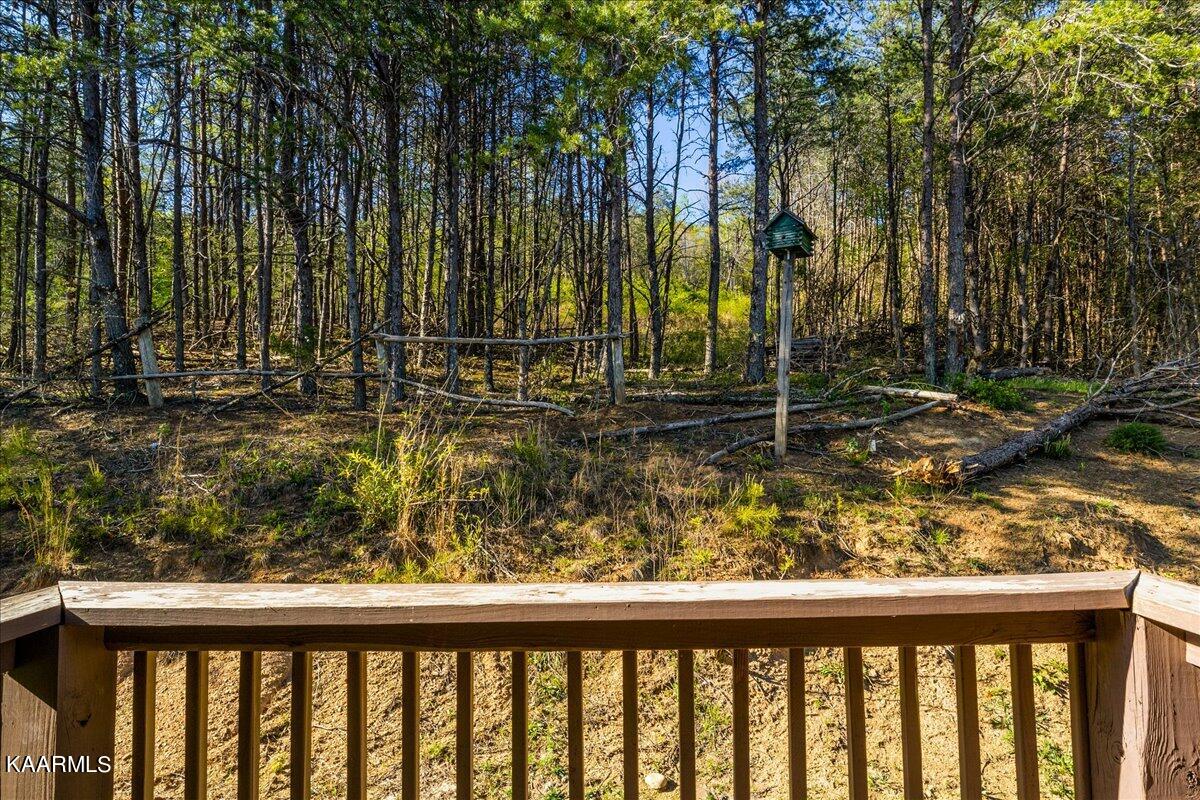 2148 Cook Mill Road Dandridge, TN 37725 - Photo 6 of 24 04-IMG_3942