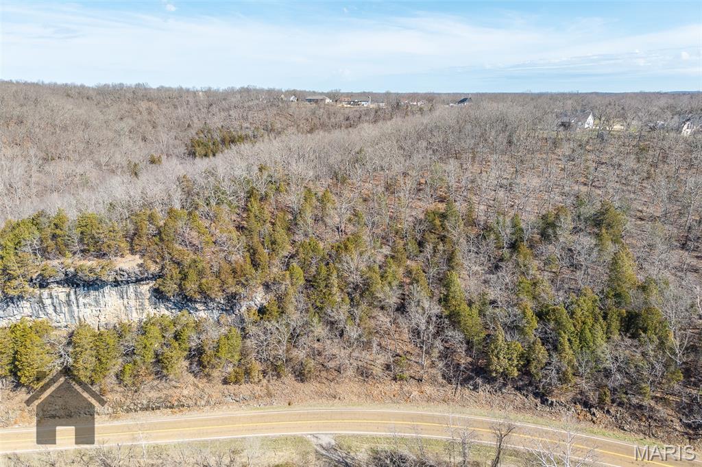 0 Laduff Road Waynesville, MO 65583 - Photo 11 of 28