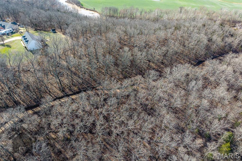 0 Laduff Road Waynesville, MO 65583 - Photo 13 of 28