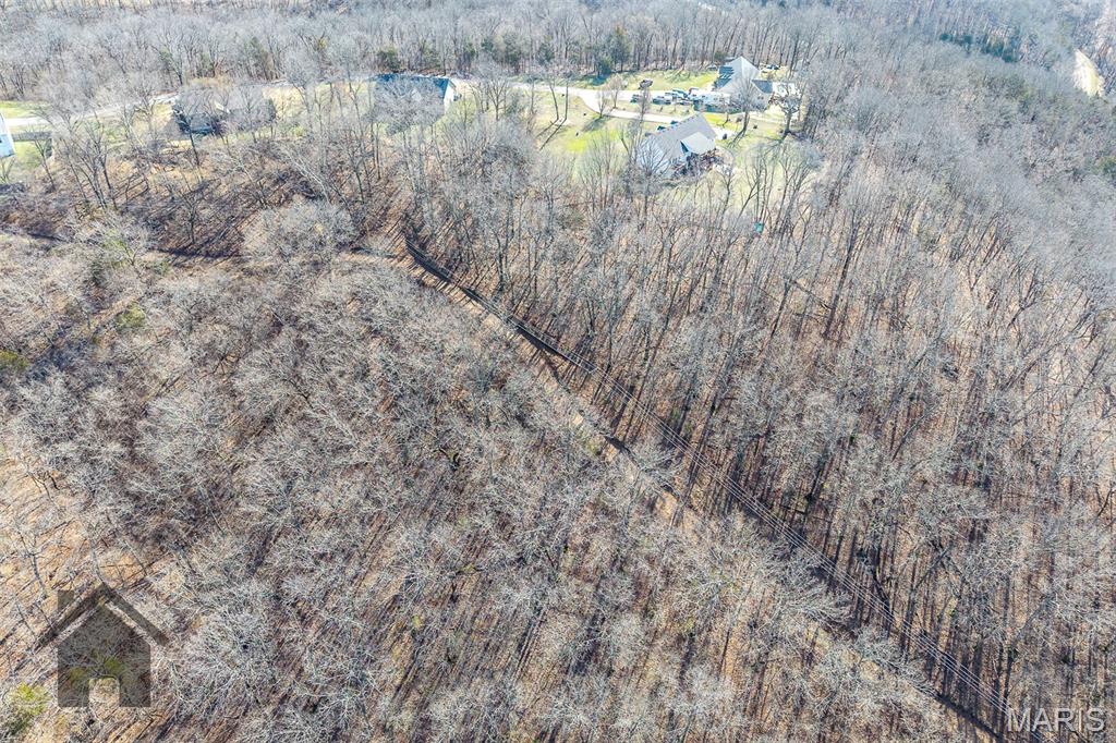 0 Laduff Road Waynesville, MO 65583 - Photo 8 of 28