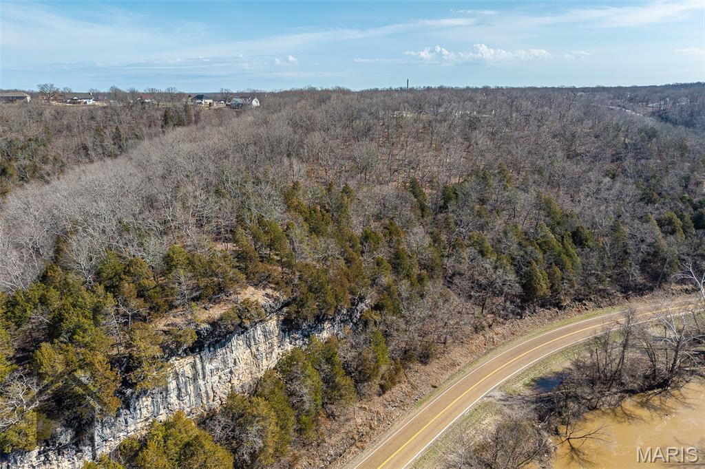 0 Laduff Road Waynesville, MO 65583 - Photo 10 of 28