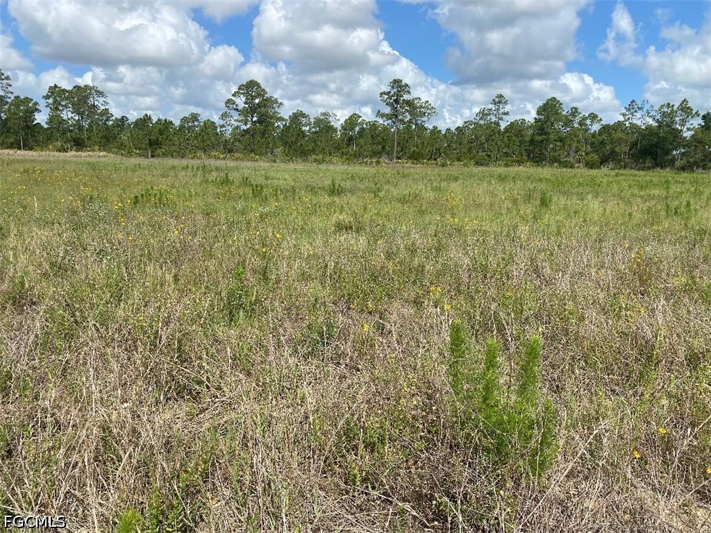 577 Kirby Thompson Road Fort Denaud, FL 33935 - Photo 4 of 5