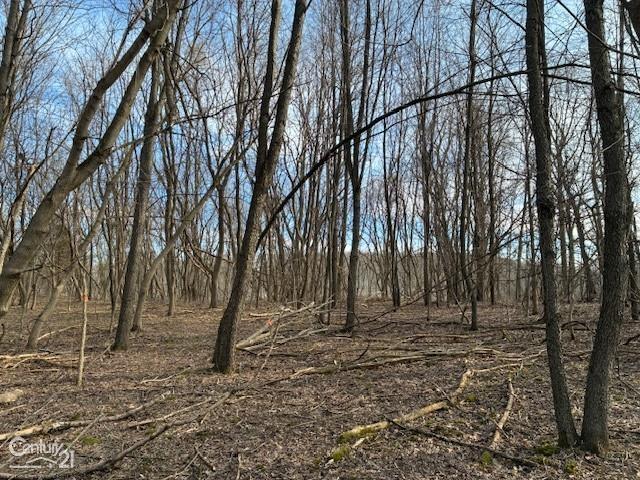 0 Marshall Road Ann Arbor, MI 48104 - Photo 6 of 17 Gallery Image 6