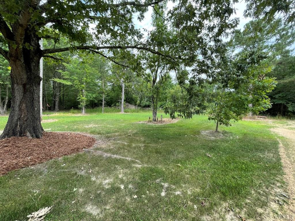 5169 Bryantown Road Jackson, NC 27845 - Photo 54 of 62 YARD