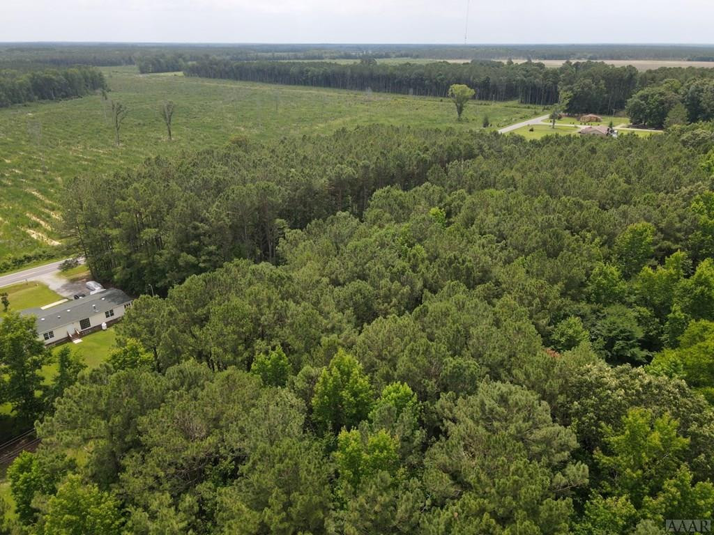 5169 Bryantown Road Jackson, NC 27845 - Photo 57 of 62 TIMBER