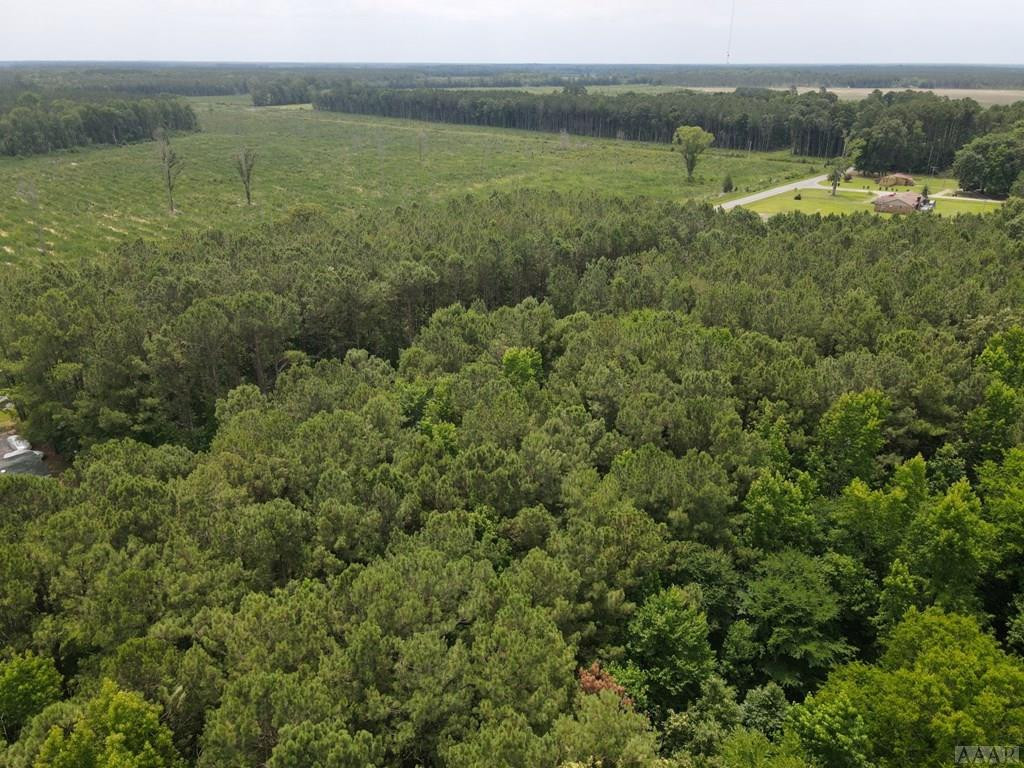 5169 Bryantown Road Jackson, NC 27845 - Photo 58 of 62 TIMBER
