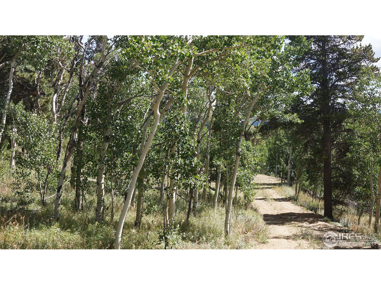 636 Badger Road Black Hawk, CO 80422 - Photo 3 of 16 Gallery Image 3