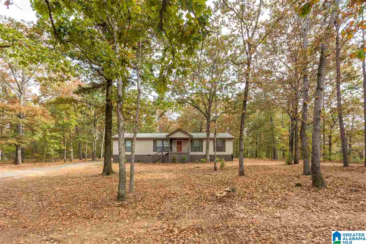 835 Funderburg Bend Road Pell City, AL 35128 - Photo 4 of 42