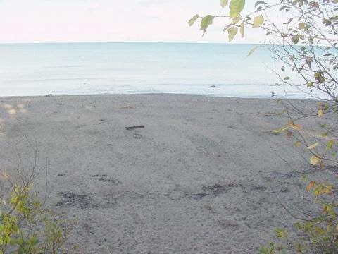 0 Parcel 3 Lakeshore Road Lexington, MI 48450 - Photo 4 of 14 911495-3.JPG