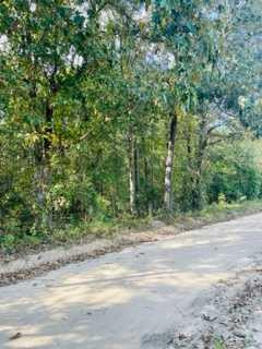 0 Broomstraw Road Johnston, SC 29832 - Photo 14 of 22