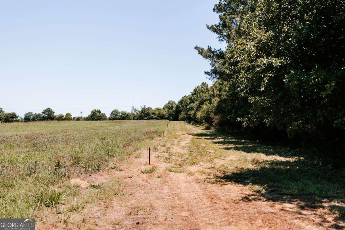 0 Mitchell Farm Road Colbert, GA 30628 - Photo 45 of 45
