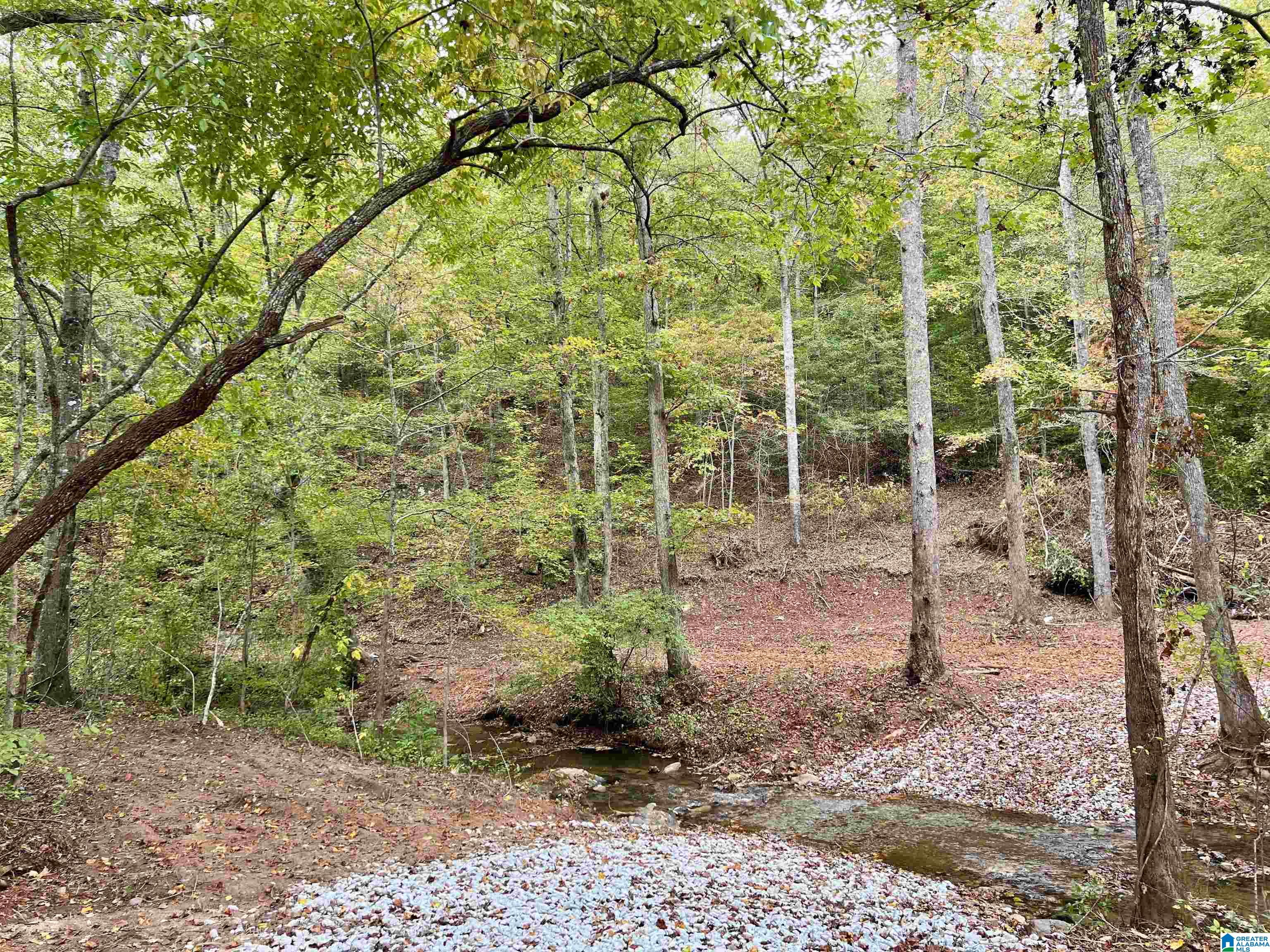 0 County Road 4 Wedowee, AL 36278 - Photo 4 of 24