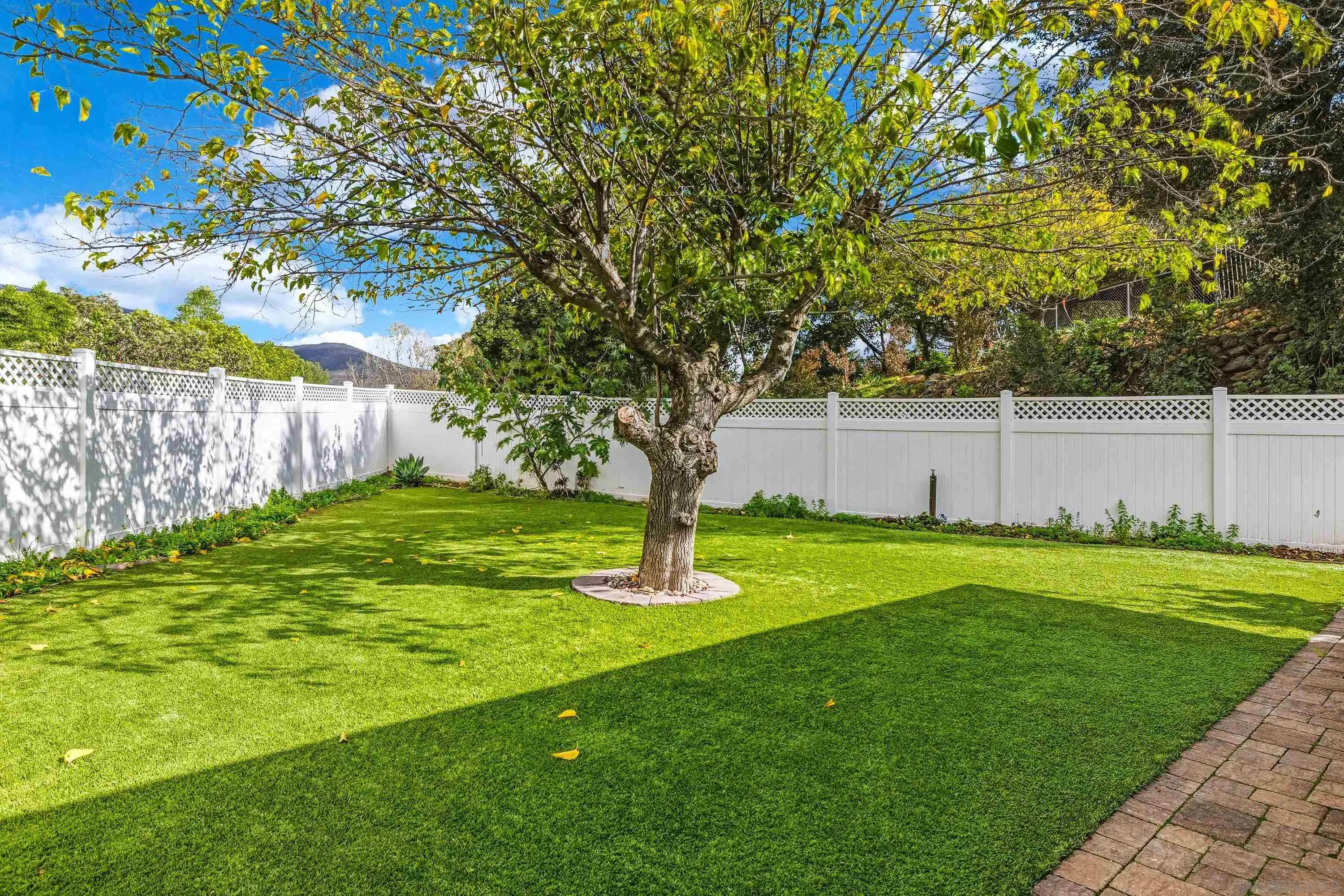 1491 Louise Drive Alpine, CA 91901 - Photo 6 of 45 a garden view