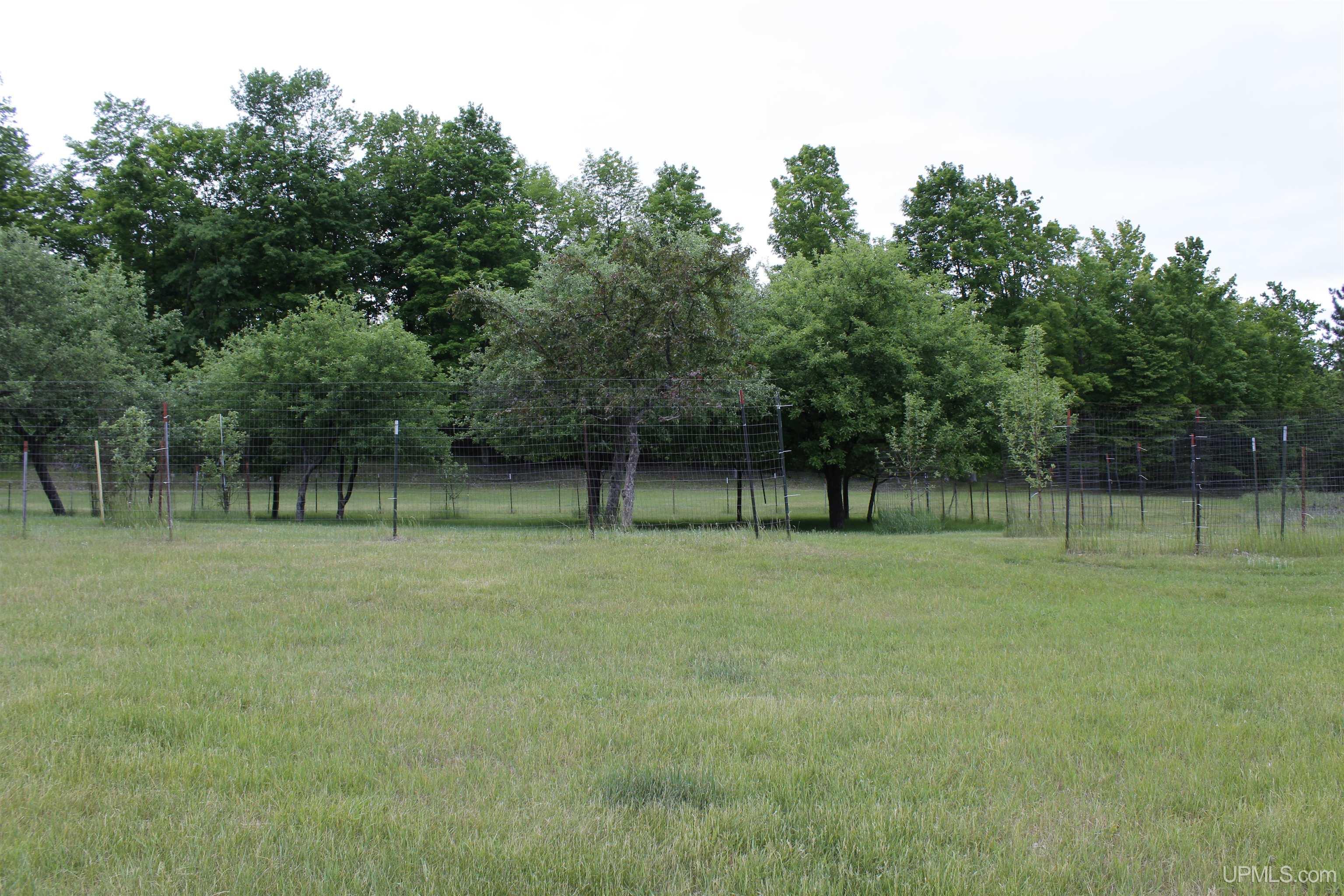 W2588 31 Lane Daggett, MI 49821 - Photo 29 of 58