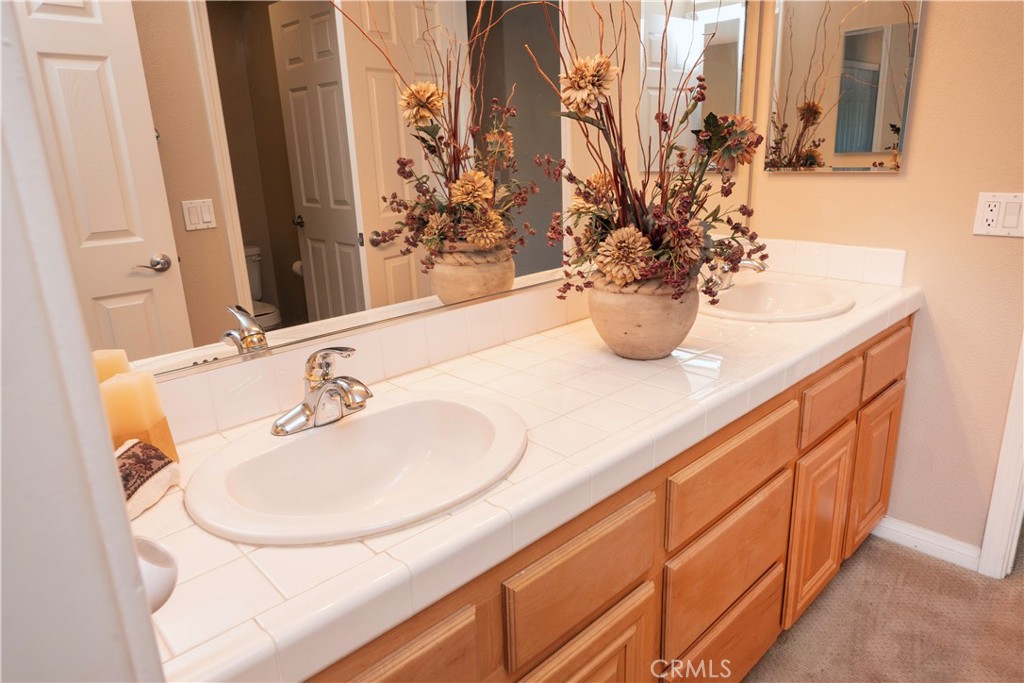 14251 Ashton Lane Riverside, CA 92508 - Photo 46 of 69 a bathroom with a sink a mirror and a potted plant