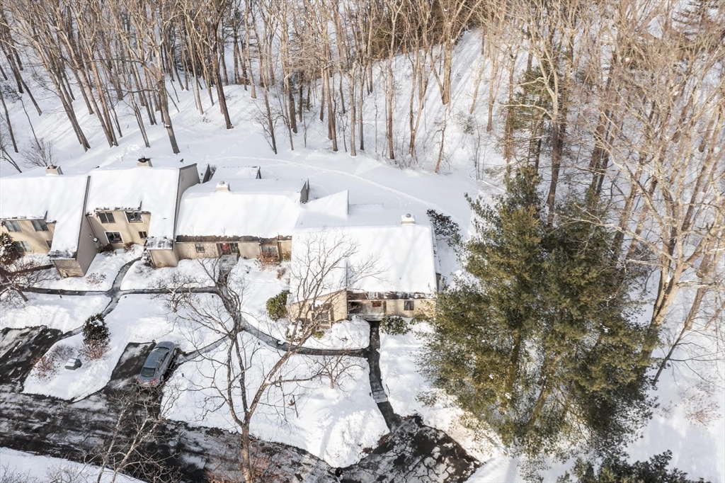 141 Chestnut Circle, Unit 141 Lincoln, MA 01773 - Photo 33 of 33