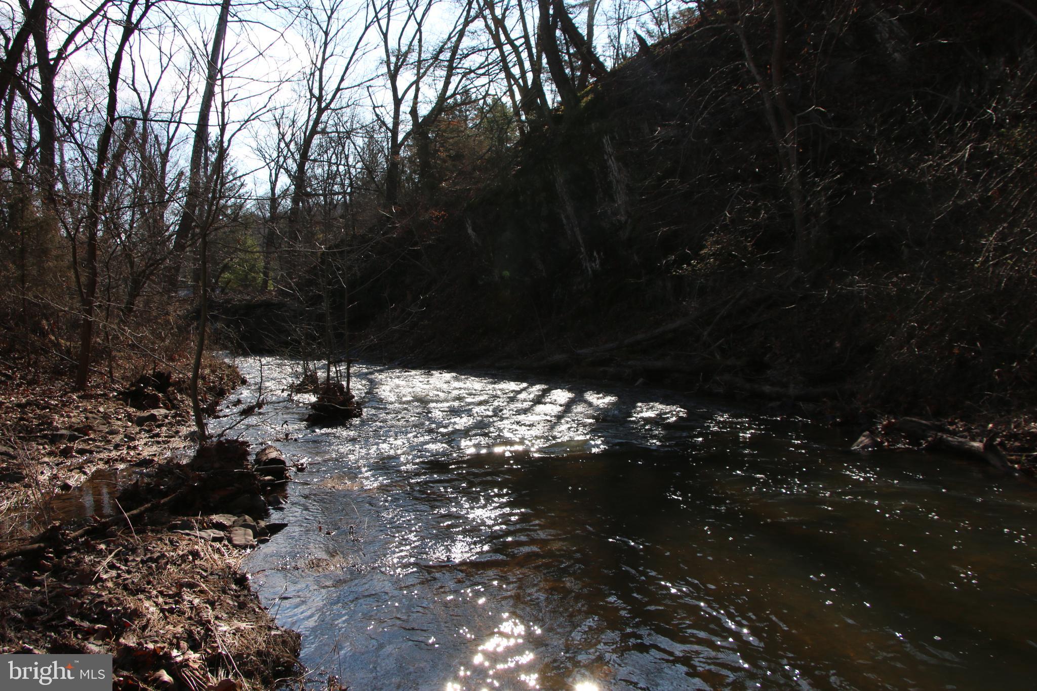 Orkney Grade Mount Mount Jackson, VA 22842 - Photo 12 of 32