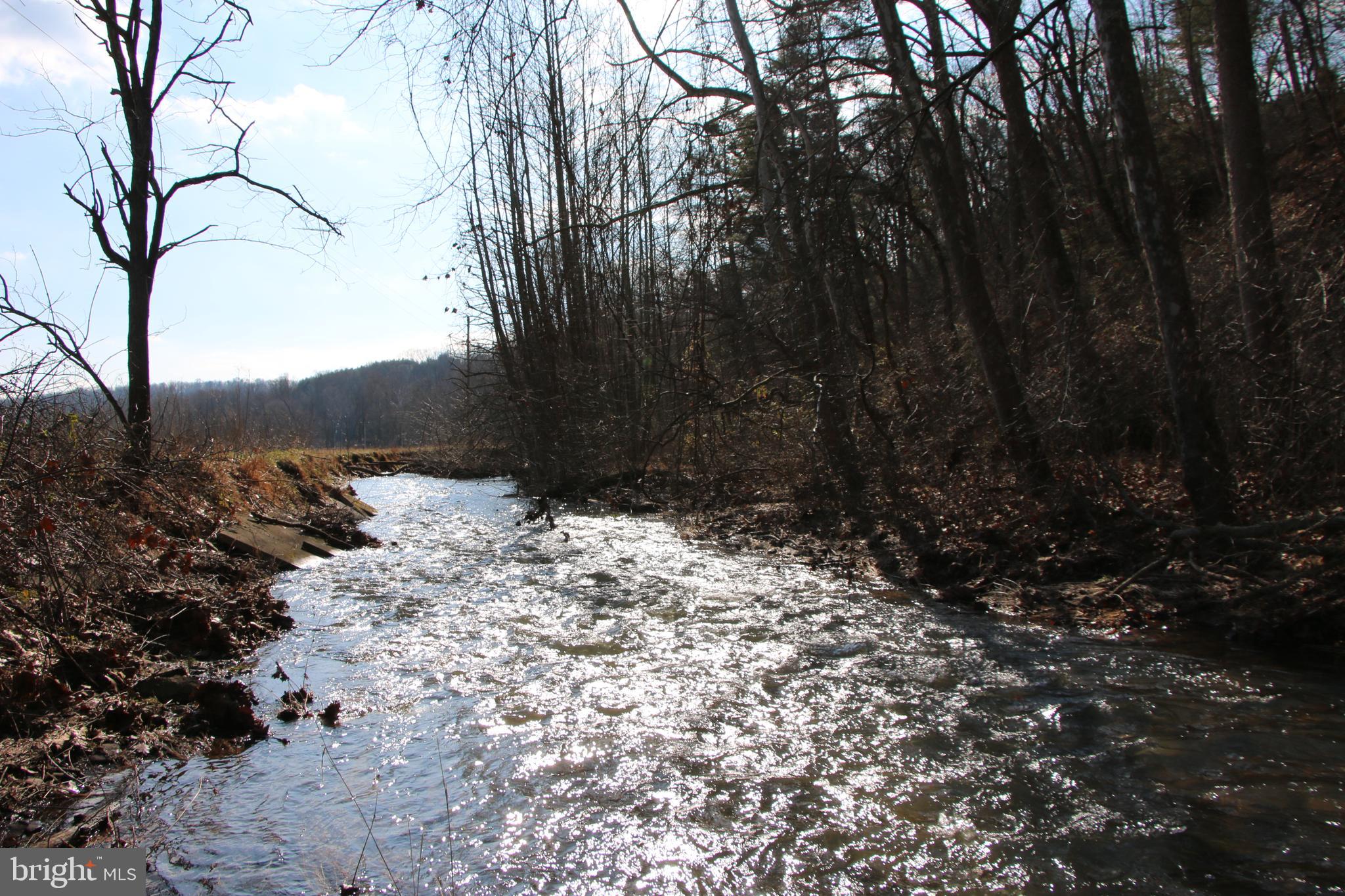 Orkney Grade Mount Mount Jackson, VA 22842 - Photo 15 of 32