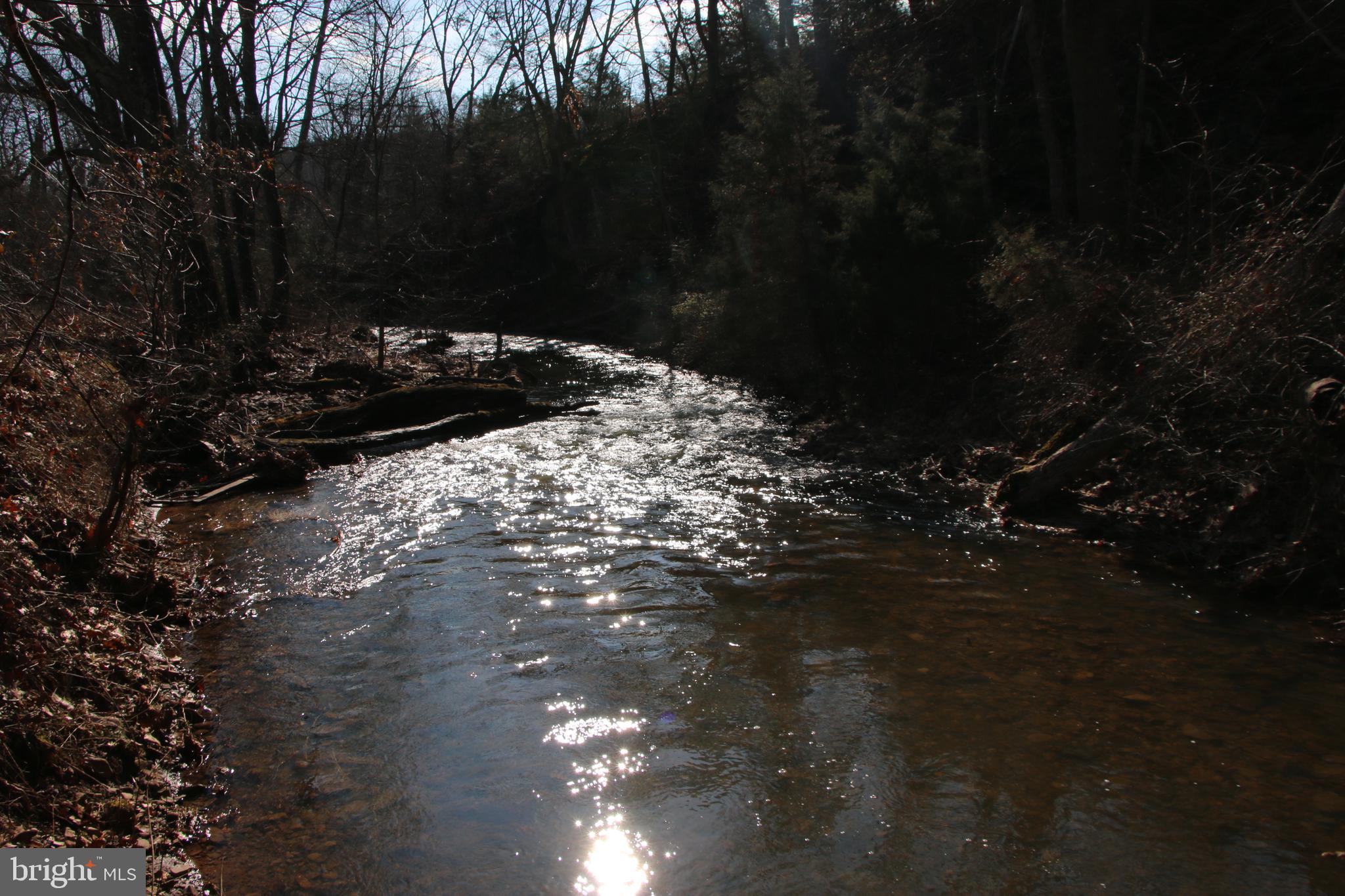 Orkney Grade Mount Mount Jackson, VA 22842 - Photo 17 of 32