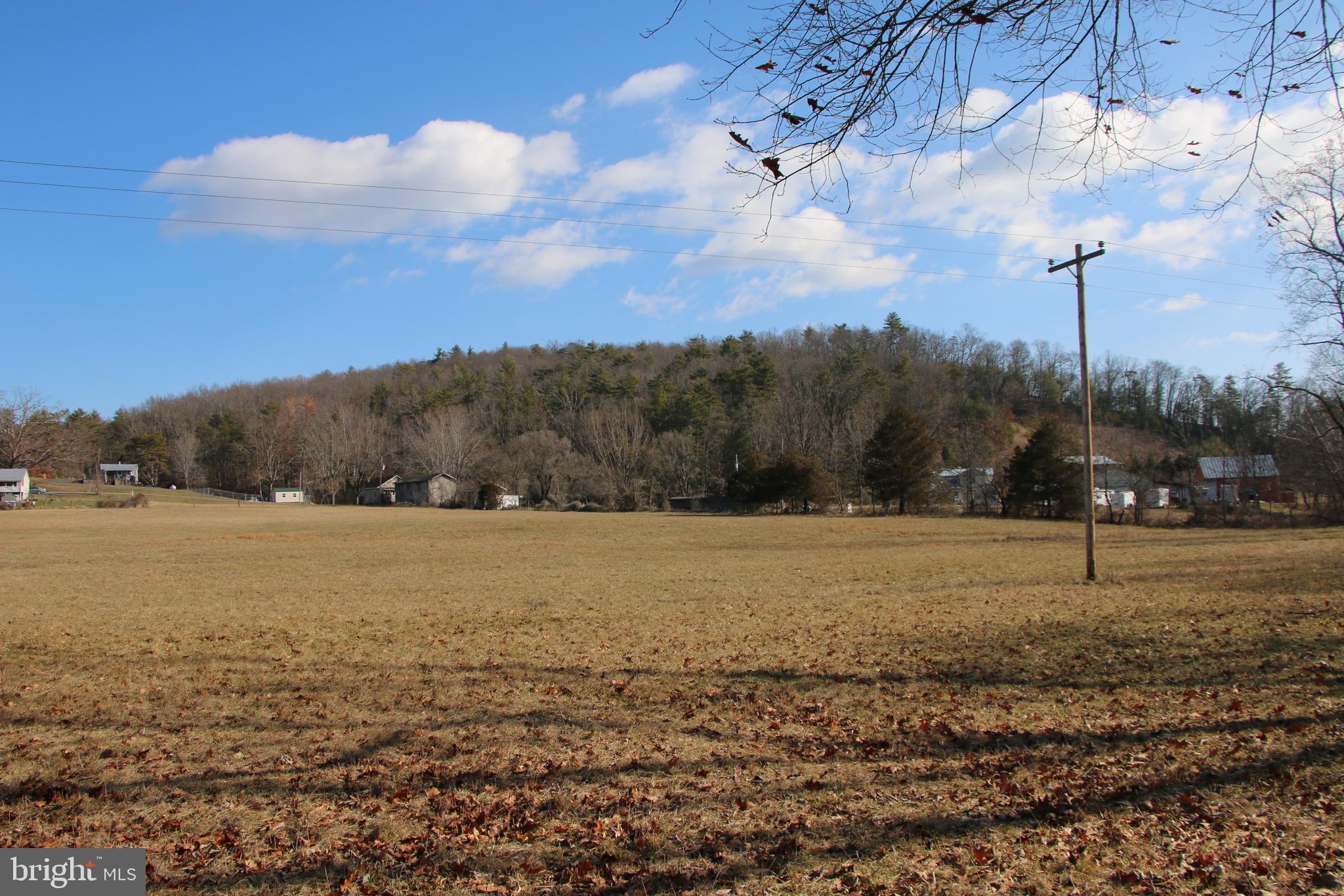 Orkney Grade Mount Mount Jackson, VA 22842 - Photo 18 of 32