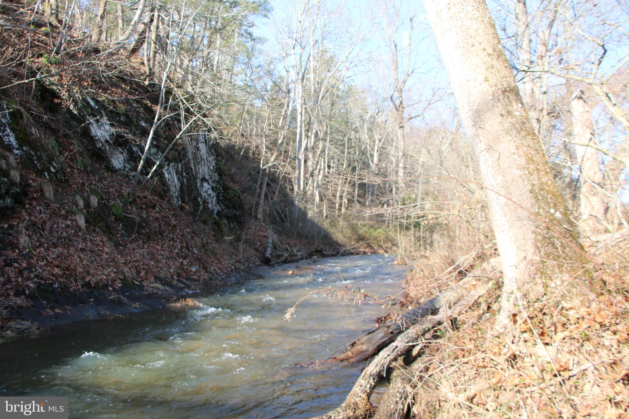 Orkney Grade Mount Mount Jackson, VA 22842 - Photo 19 of 32