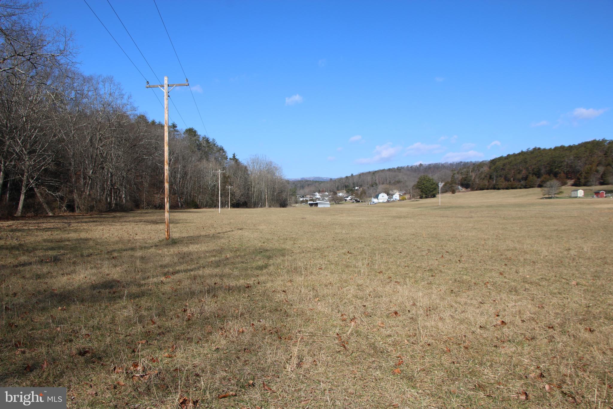Orkney Grade Mount Mount Jackson, VA 22842 - Photo 20 of 32