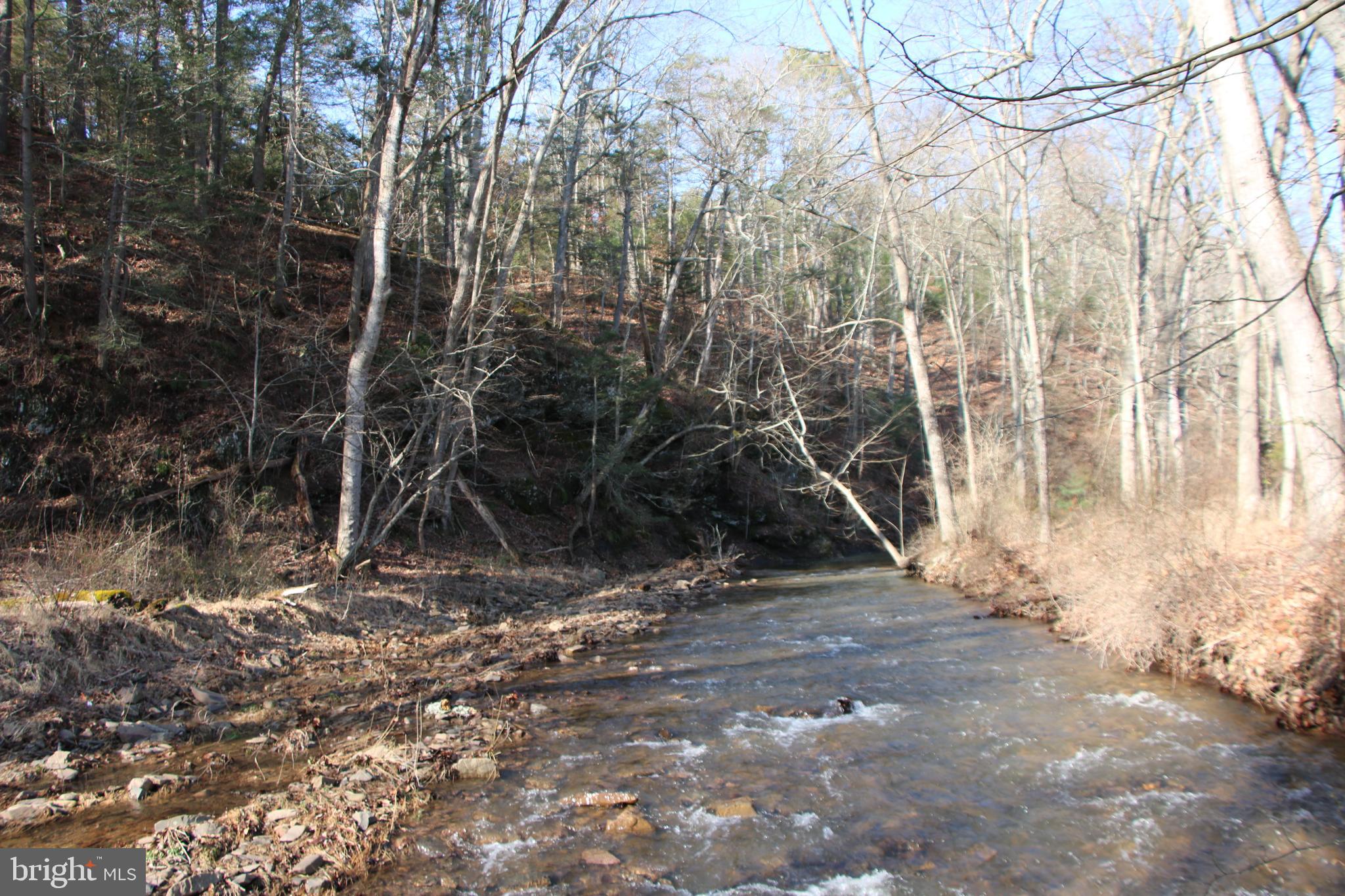 Orkney Grade Mount Mount Jackson, VA 22842 - Photo 24 of 32