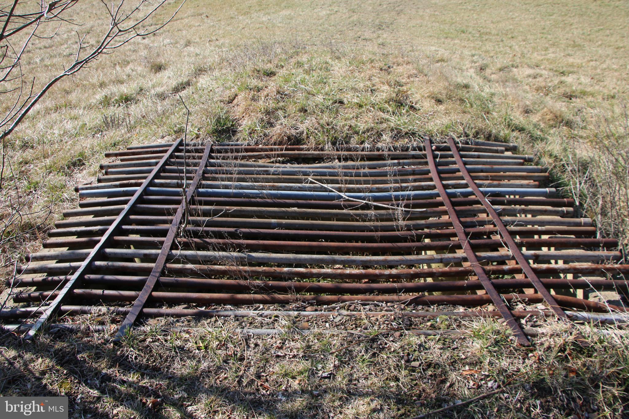 Orkney Grade Mount Mount Jackson, VA 22842 - Photo 28 of 32