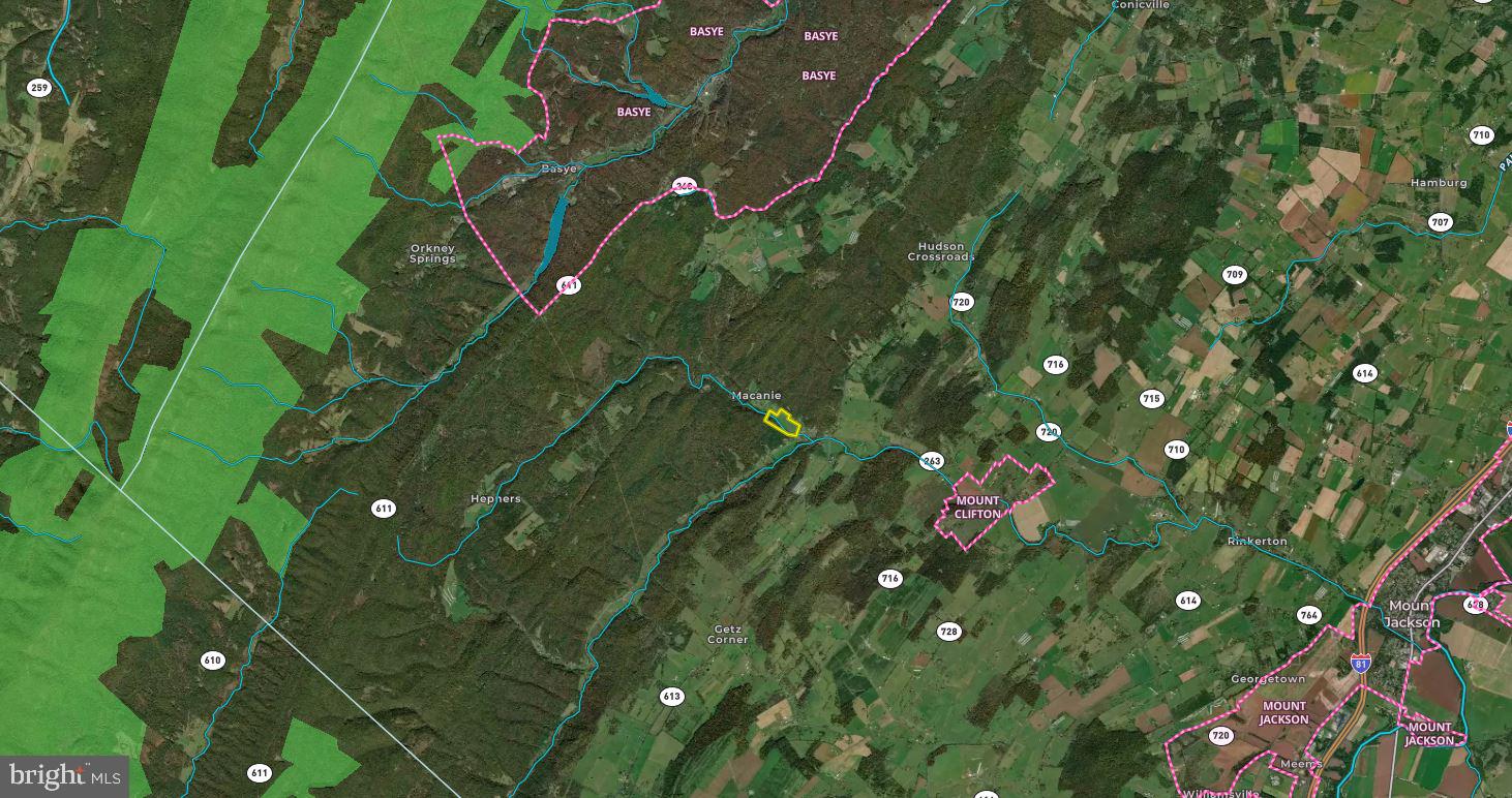 Orkney Grade Mount Mount Jackson, VA 22842 - Photo 30 of 32