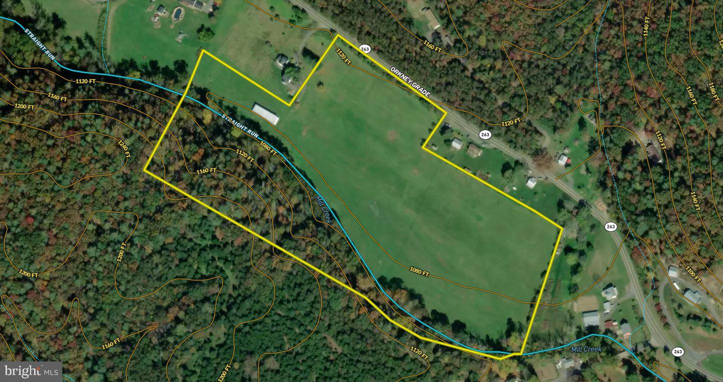 Orkney Grade Mount Mount Jackson, VA 22842 - Photo 31 of 32