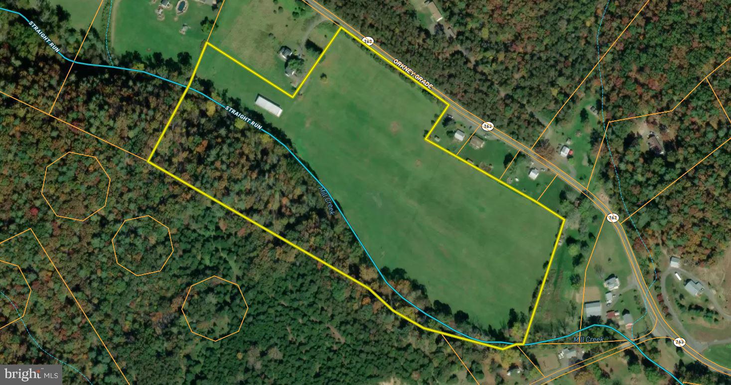 Orkney Grade Mount Mount Jackson, VA 22842 - Photo 32 of 32