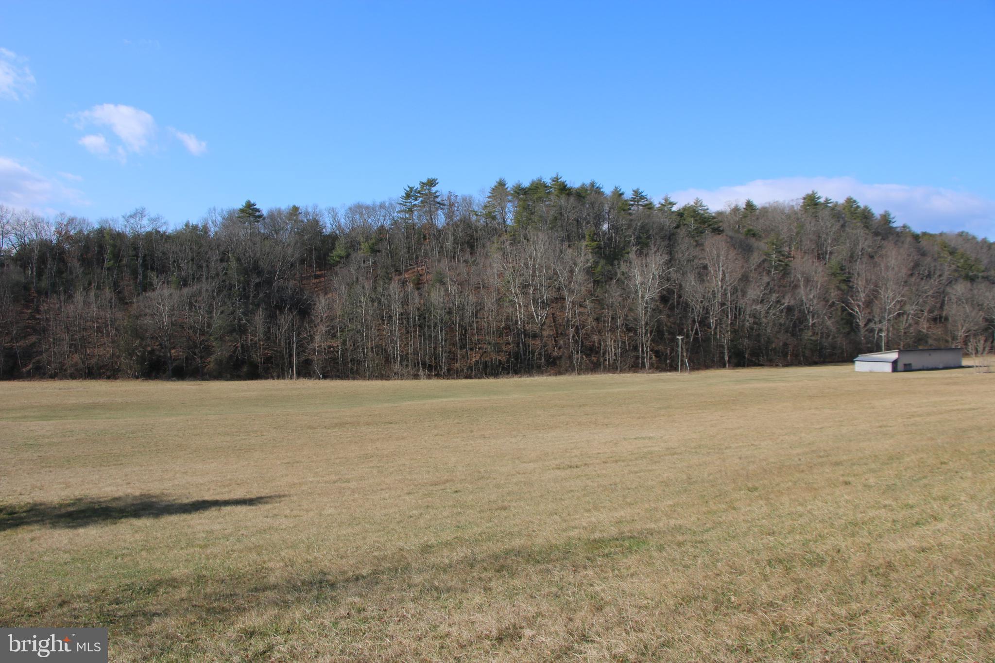 Orkney Grade Mount Mount Jackson, VA 22842 - Photo 4 of 32