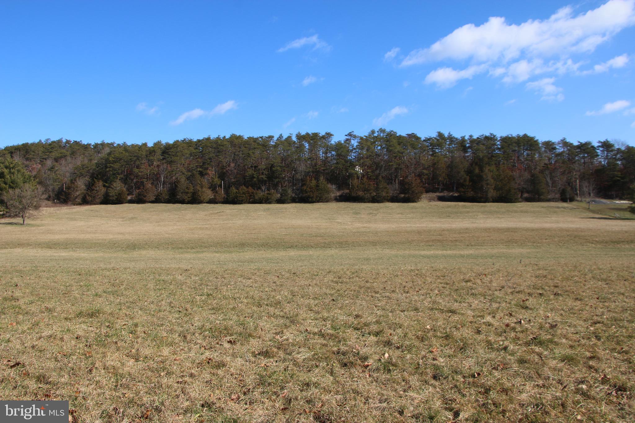 Orkney Grade Mount Mount Jackson, VA 22842 - Photo 6 of 32