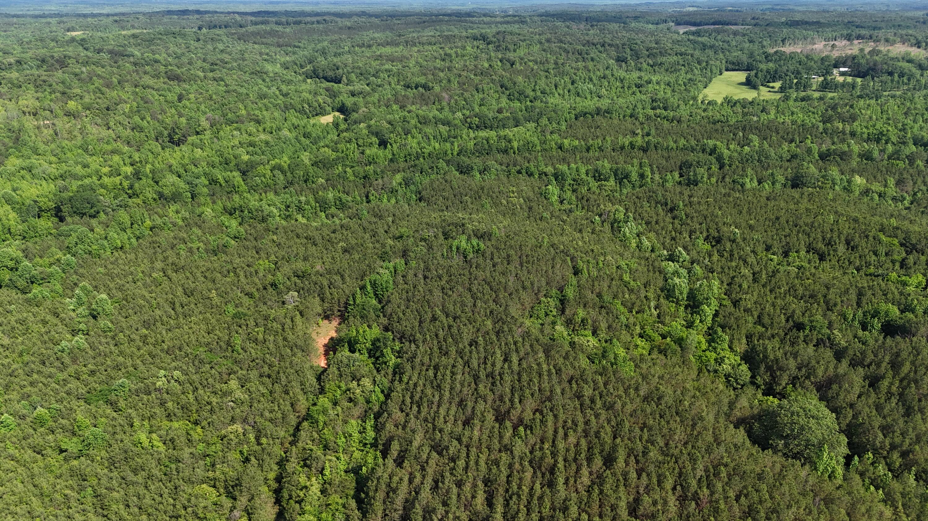 0 Scott Senter Road Fulton, MS 38843 - Photo 14 of 20 Gallery Image 14