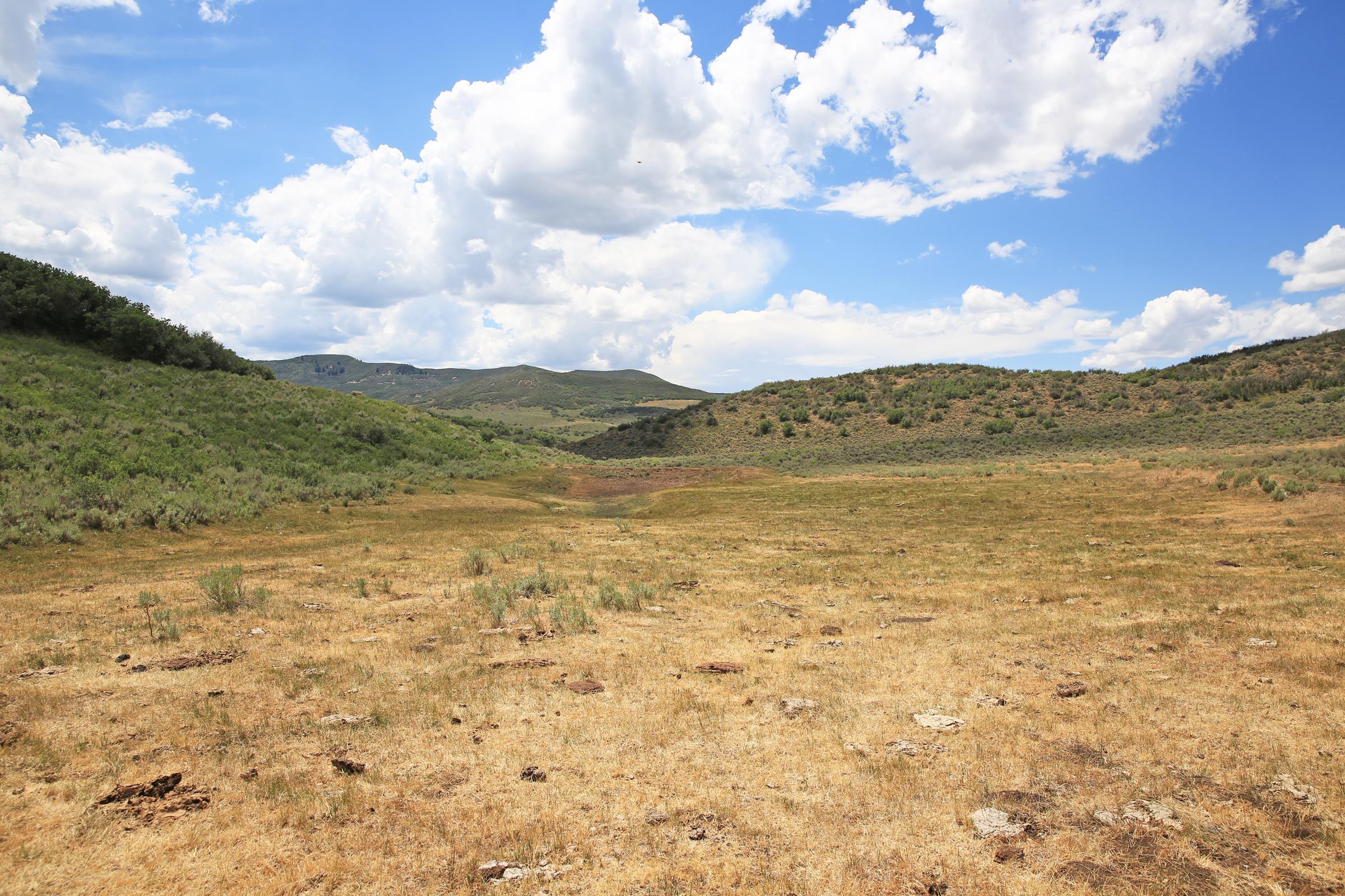 Tbd Harrison Creek Road Collbran, CO 81624 - Photo 26 of 40 Gallery Image 26