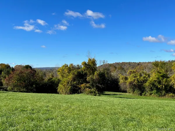 a view of a grassy field with trees in the background
