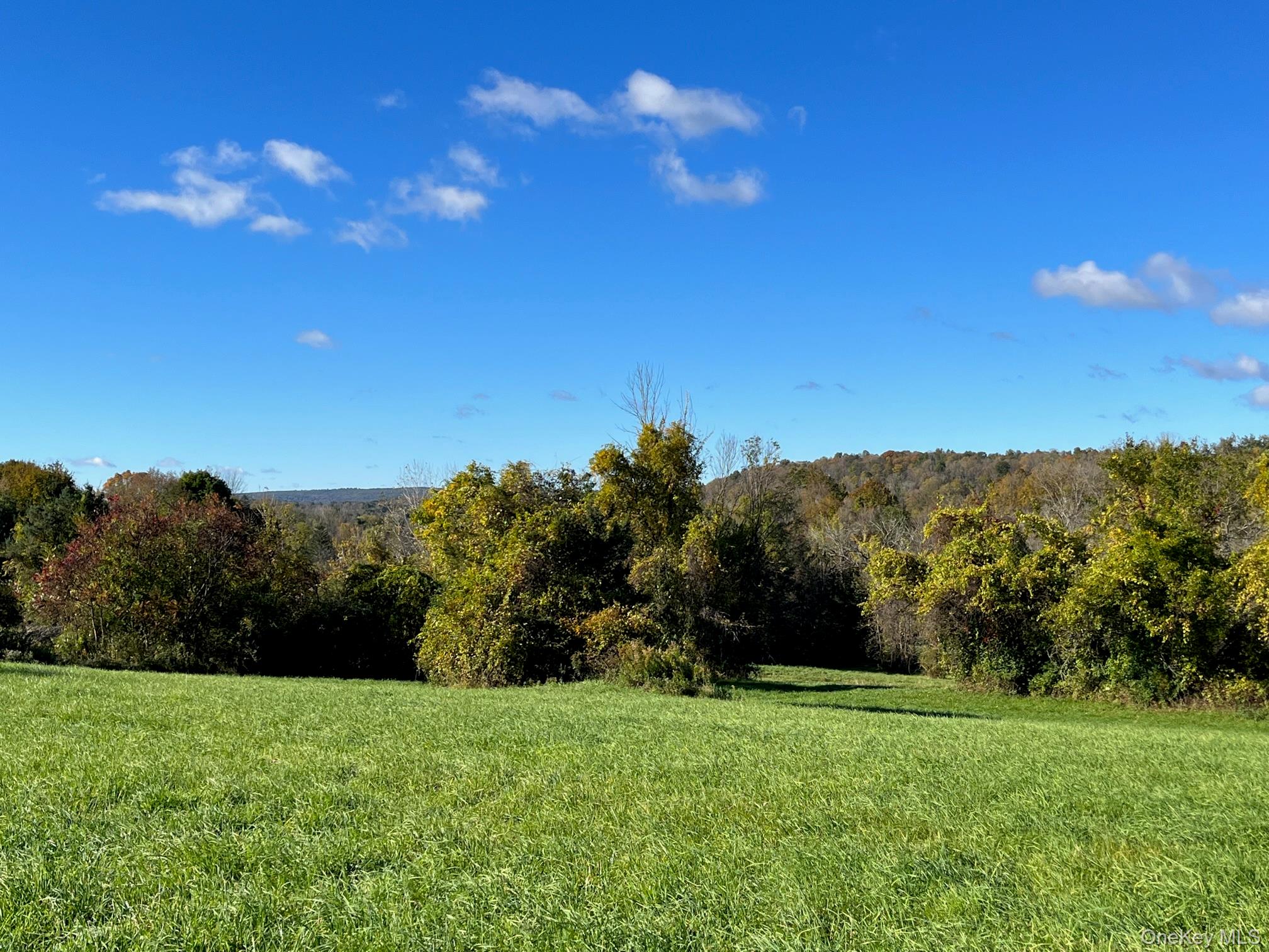 Kent Road Wassaic, NY 12592 - Photo 11 of 11 a view of a grassy field with trees in the background