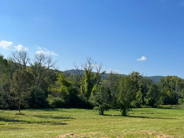 a view of a yard