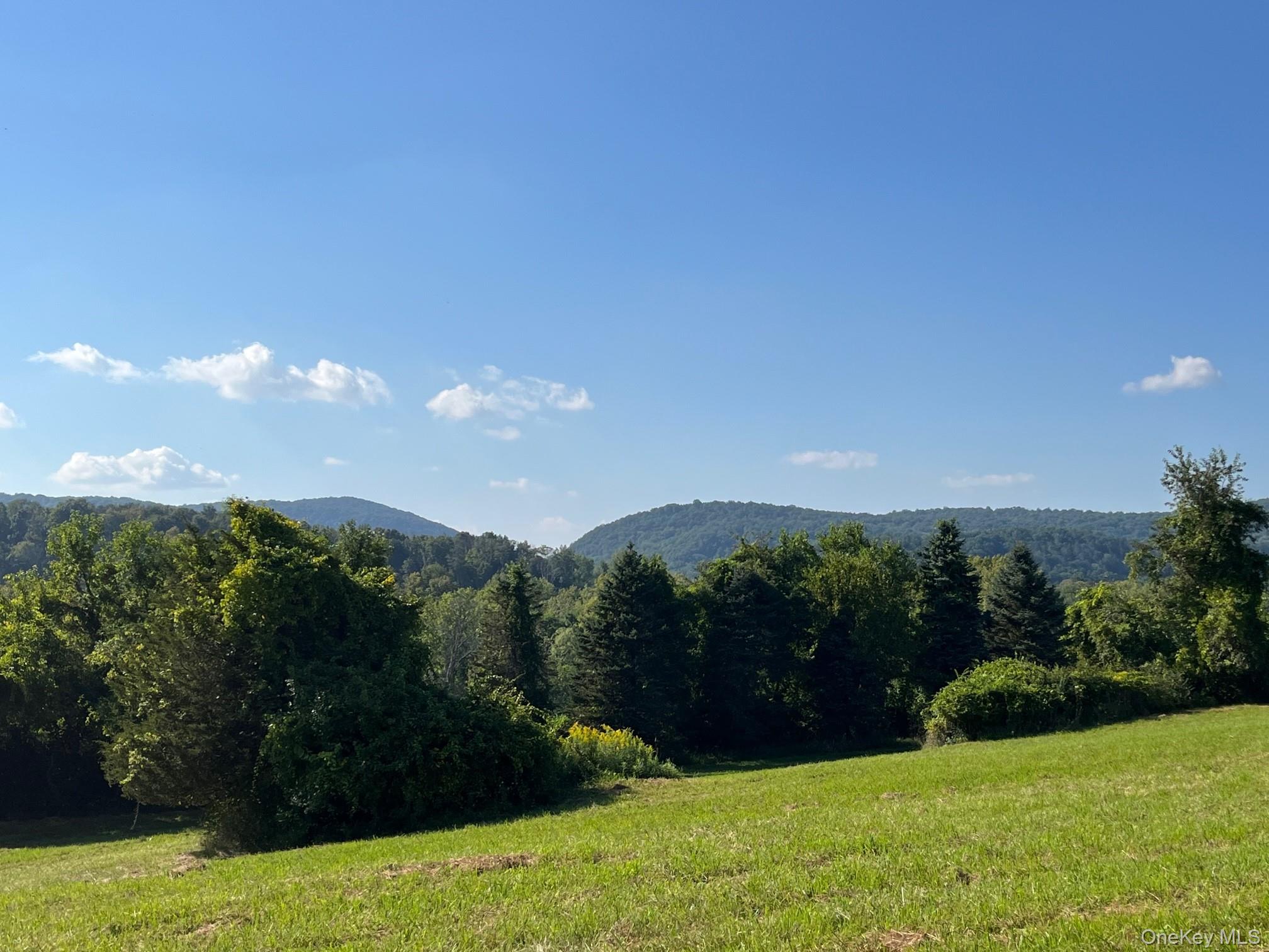 Kent Road Wassaic, NY 12592 - Photo 3 of 11 a view of lake with green space